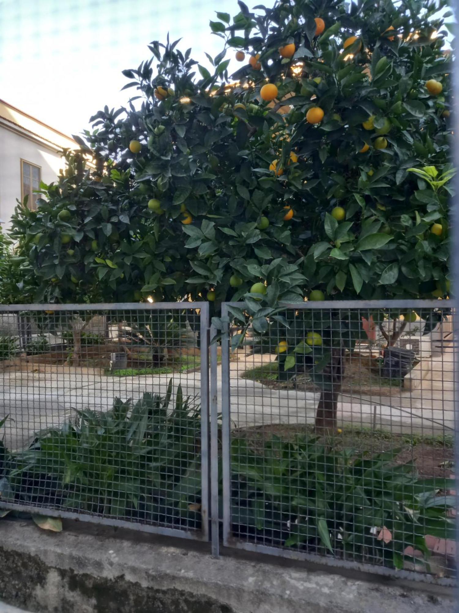 Momenti E Monumenti Villa Palermo Buitenkant foto